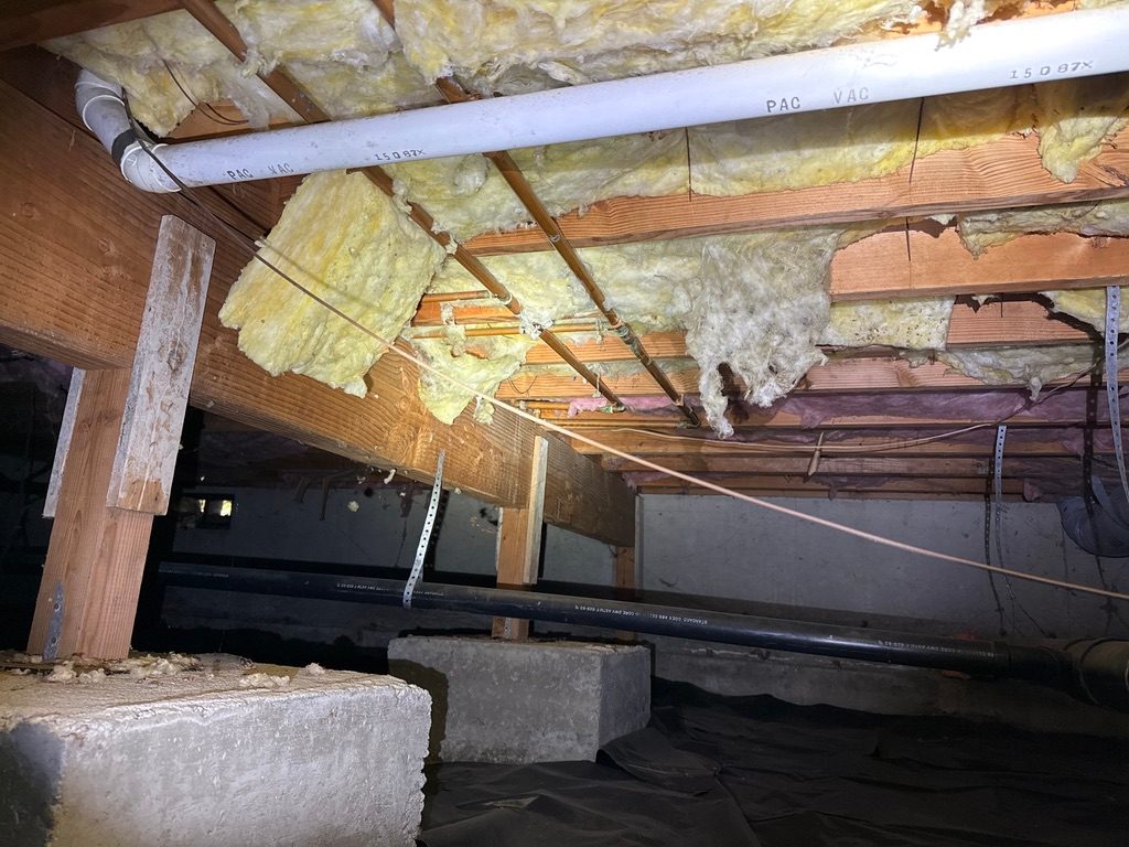 Fiberglass insulation sagging and falling from crawlspace floor joists