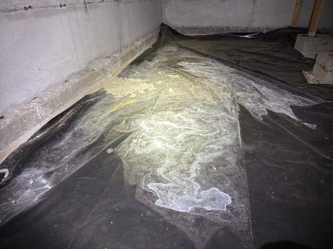 Water pooled on the plastic vapor barrier along a crawlspace foundation wall