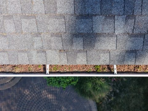 Drone view of a gutter packed with debris and small plants growing in it